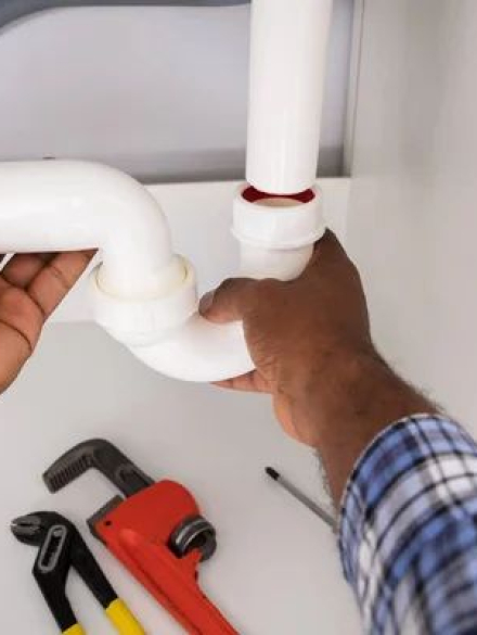 WhatsApp Image 2026-01-16 at 12.45.21