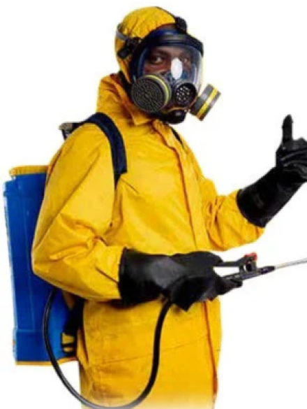 Untitled design - 2025-01-19T192125.232