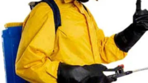 Untitled design - 2025-01-19T192125.232